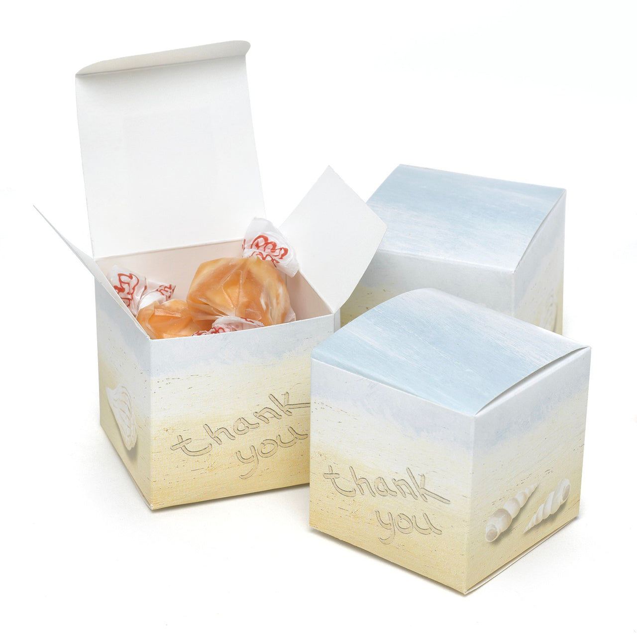 Seaside Jewels Favor Box (Set of 25) - Main Image | My Wedding Favors