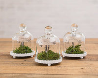 Thumbnail for Miniature Glass Bell Jar (Set of 4) (Personalization Available) - Alternate Image 2 | My Wedding Favors