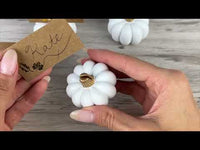 White Pumpkin Place Card Holder (Set of 6)