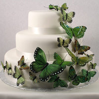 Thumbnail for Beautiful Butterfly Cake Sets (Set of 25) - Main Image | My Wedding Favors
