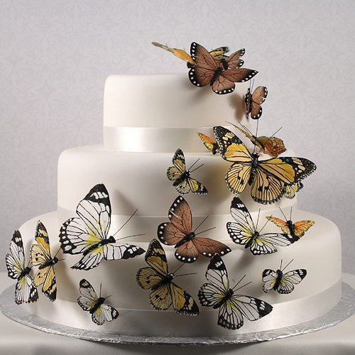 Beautiful Butterfly Cake Sets (Set of 25) - Alternate Image 2 | My Wedding Favors