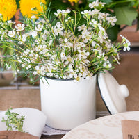 Thumbnail for French Provençal Mini Decorative Canister with Lid (Set of 4) - Alternate Image 2 | My Wedding Favors