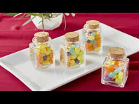 DIY Petite Treat Square Glass Favor Jar (Set of 18)