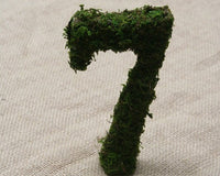 Thumbnail for Moss Covered Standing Wedding Table Numbers - Main Image | My Wedding Favors