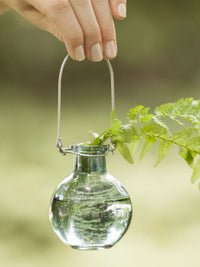 Thumbnail for Hanging Bud Vase Favors (Set of 5)