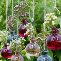 Thumbnail for Hanging Bud Vase Favors (Set of 5)