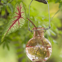 Thumbnail for Hanging Bud Vase Favors (Set of 5)