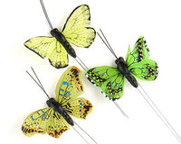 Thumbnail for Beautiful Butterfly Decorative Set (Multiple Colors Available)