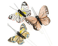 Thumbnail for Beautiful Butterfly Decorative Set (Multiple Colors Available)