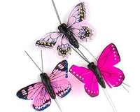 Thumbnail for Beautiful Butterfly Decorative Set (Multiple Colors Available)